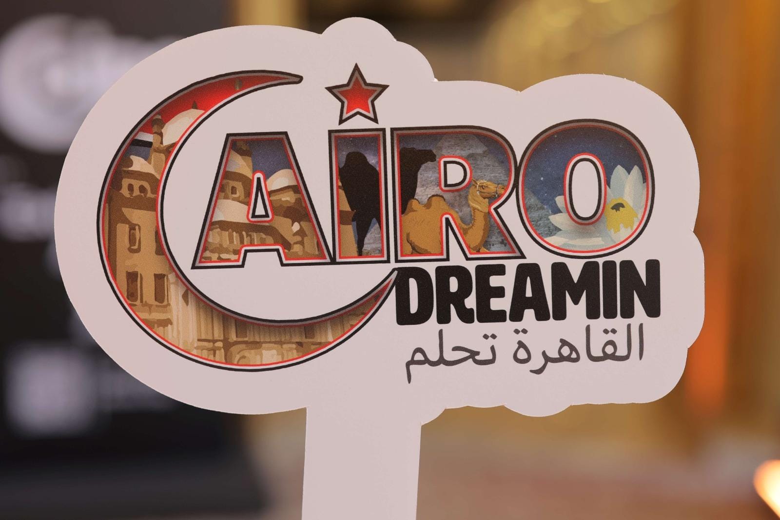 Cairo Dreamin: A Historic Salesforce Community Event in Egypt